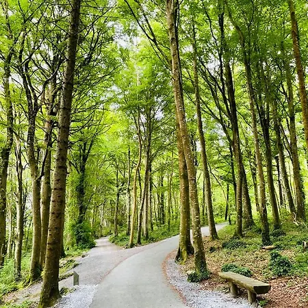 Bed & Breakfast Cedar Self Catering H91 Cf9d *