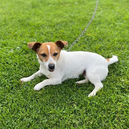 Cedar Self Catering H91 Cf9d