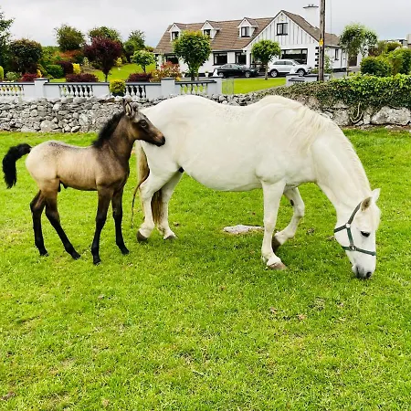 Cedar Self Catering H91 Cf9d Bed & Breakfast *