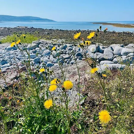 Cedar Self Catering H91 Cf9d Bed & Breakfast *