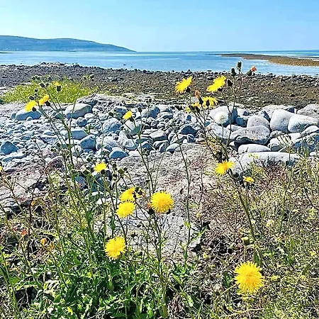 Cedar Self Catering H91 Cf9d Gort