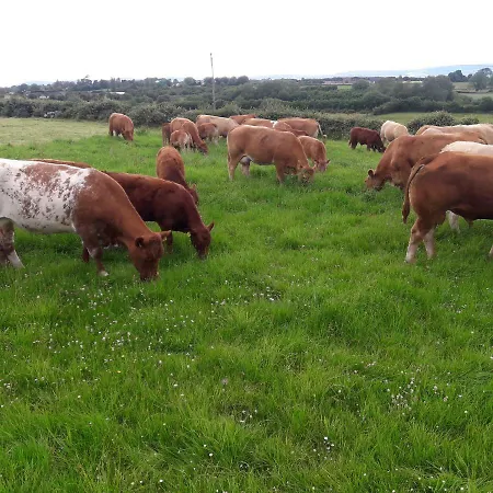 Cedar Self Catering H91 Cf9d Bed & Breakfast *