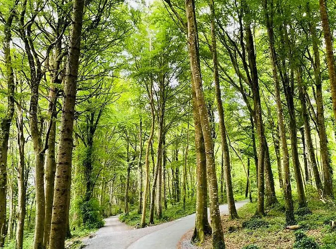 住宿加早餐酒店 Cedar Self Catering H91 Cf9d *