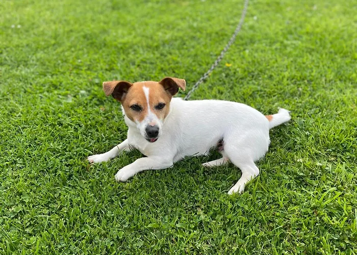 Cedar Self Catering H91 Cf9d