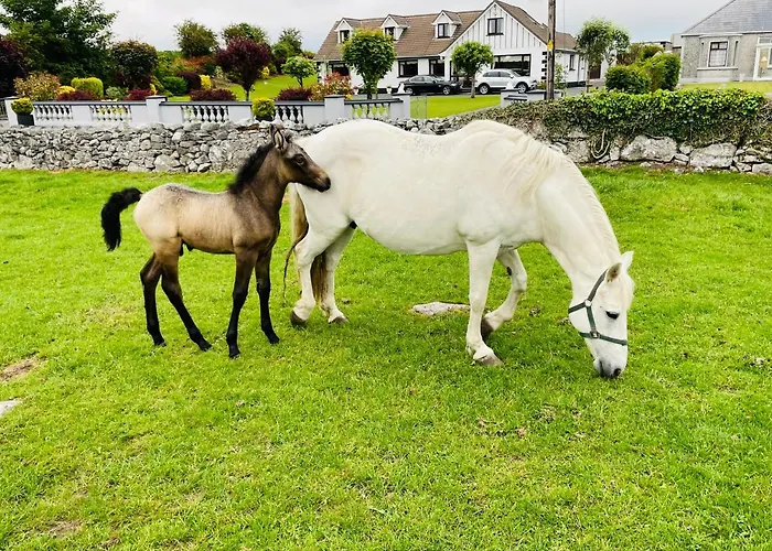 Cedar Self Catering H91 Cf9d 住宿加早餐酒店 *