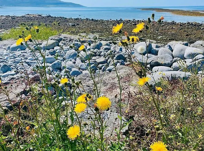 Cedar Self Catering H91 Cf9d 住宿加早餐酒店 *